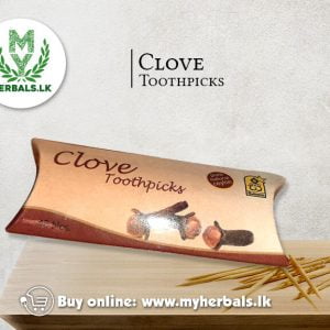 clove-toothpicks