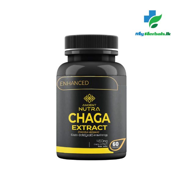 Chaga Mushroom Extract -Ancient Nutra
