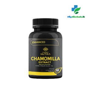 Chamomilla Extract -Ancient Nutra
