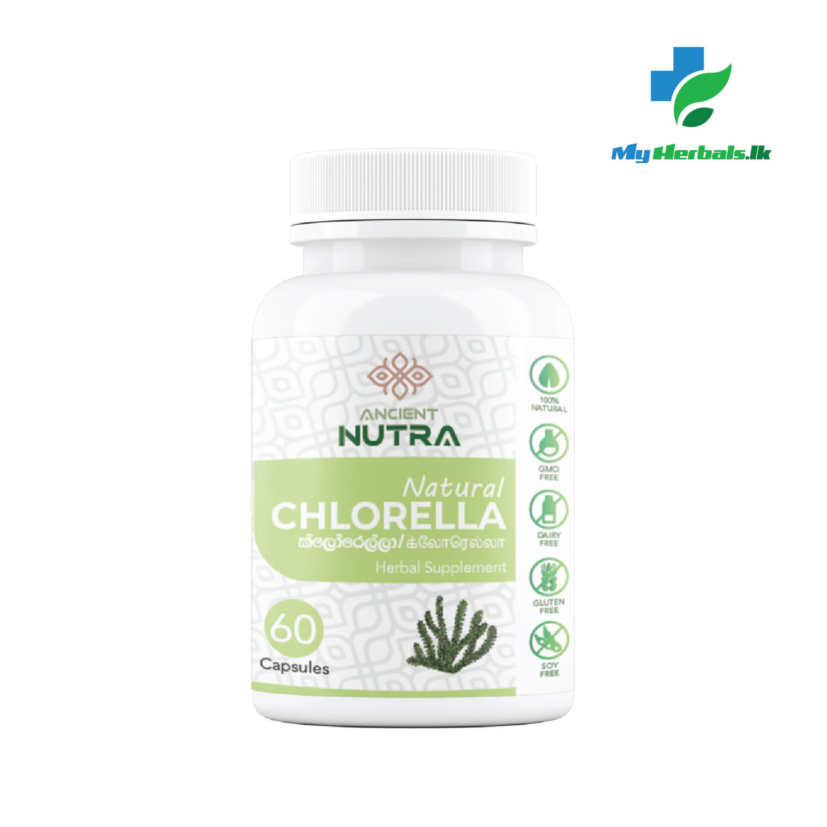 Chlorella Capsules - 60 Caps- Ancient Nutra