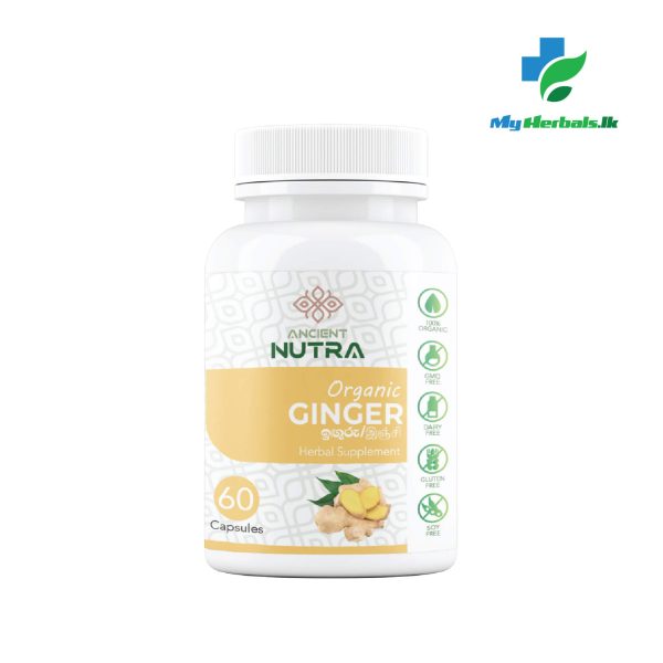 Organic Ginger Capsules - 60 Caps- Ancient Nutra