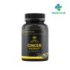 Ginger Extract -Ancient Nutra