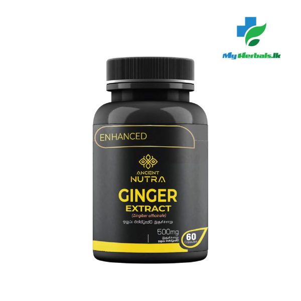 Ginger Extract -Ancient Nutra