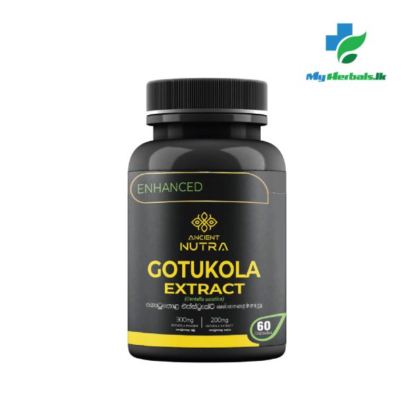 Gotukola Extract -Ancient Nutra