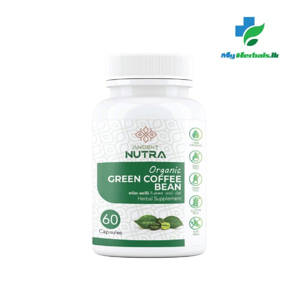 Green Coffee Bean Capsules - 60 Caps- Ancient Nutra