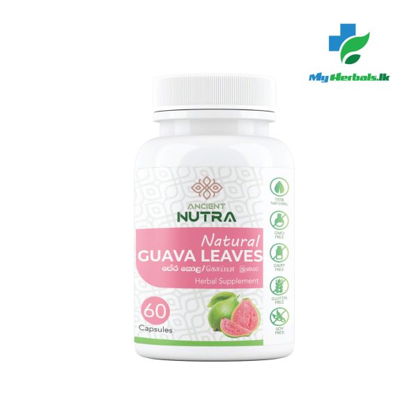 Guvava Leaves Capsules - 60 Caps