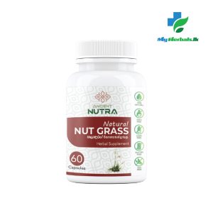 Nut Grass Capsules - 60 Caps- Ancient Nutra