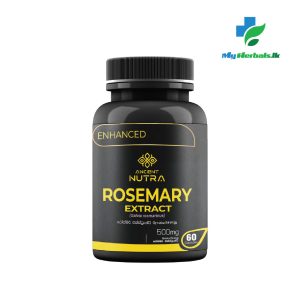Rosemary Extract -Ancient Nutra