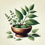 Ayurveda Products