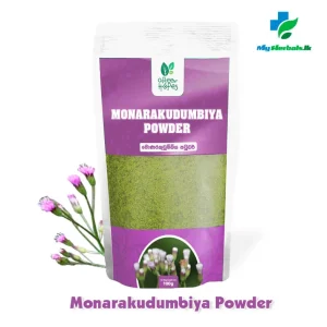 GREEN HOPES Monarakudumbiya Powder in branded packaging, possibly with fresh Monarakudumbiya (Spermacoce hispida) plants. Supports blood purification and liver health.