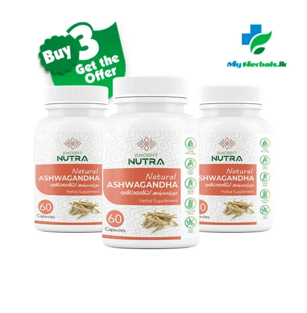 Ancient Nutra Offer Ancient Nutra Ashwagandha Capsules in a bottle. An image advertising a special offer on herbal products for wellness.