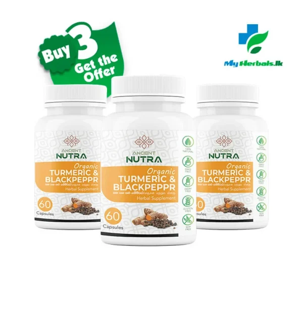 Ancient Nutra Offer Turmeric & Black Pepper Capsules bottle, a herbal supplement to support healthy glucose metabolism and blood sugar regulation.