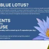 What is Ancient Nutra Blue Lotus Capsules bottle with a blue lotus flower. A natural supplement for relaxation and stress relief.